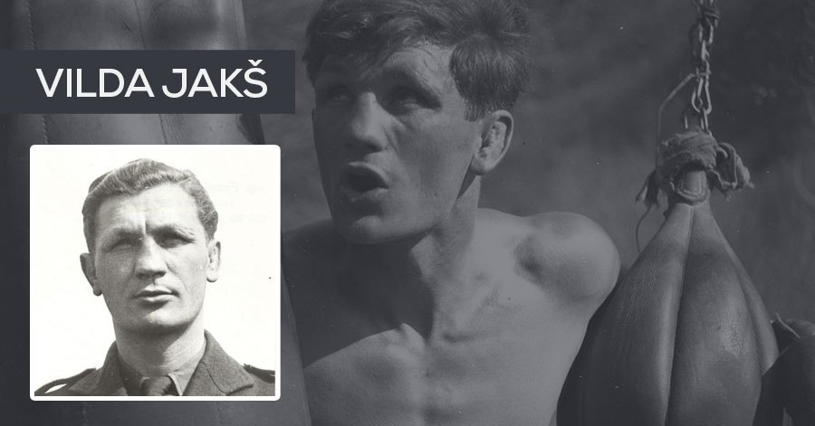 vilda jaks